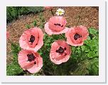 AHCE_Mens 2008_0077 * 2272 x 1704 * (2.23MB)